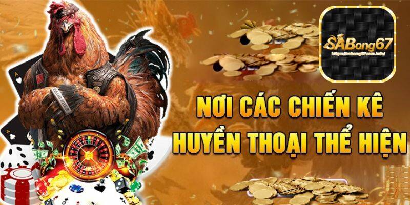 Đá gà casino 67: Trải nghiệm cá cược đỉnh cao và hấp dẫn