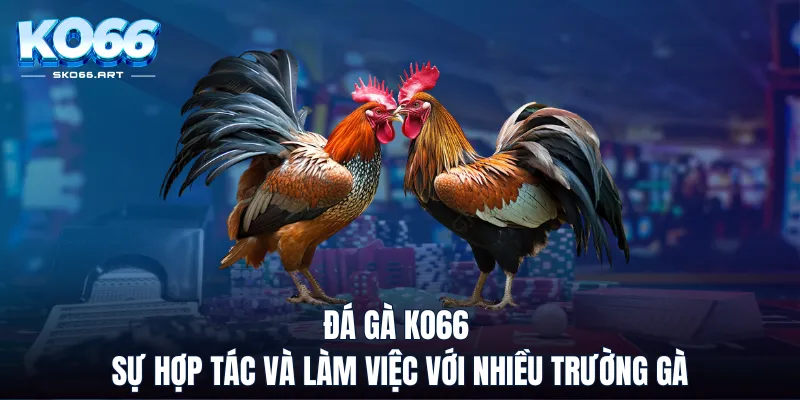 Da Ga Casino trực tuyến – Thỏa mãn đam mê, kiếm tiền thật